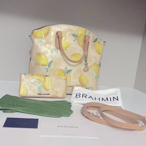 ⭐️ RARE BRAHMIN SUMMER DESERT AMALFI LEMON PURSE/WALLET/GLOVES